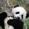 brianzhang323